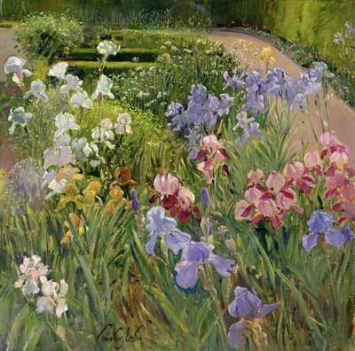 Irises at Bedfield by Timothy Easton